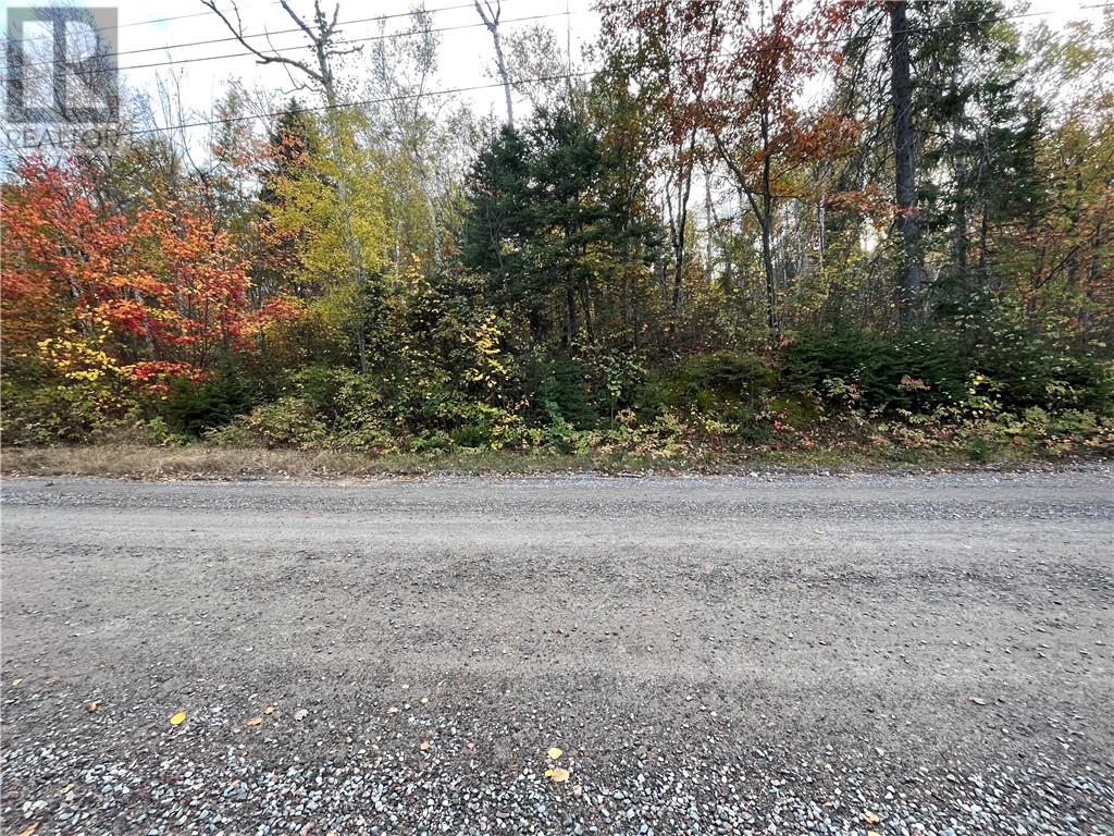 Lot 0 Hanmer Lake Road E, Greater Sudbury, Ontario  P3P 1R3 - Photo 2 - 2119302