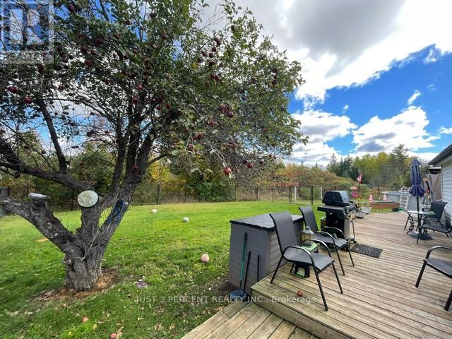 3145 County Rd 6 Road, Douro-Dummer, Ontario  K0L 2H0 - Photo 33 - X9380471