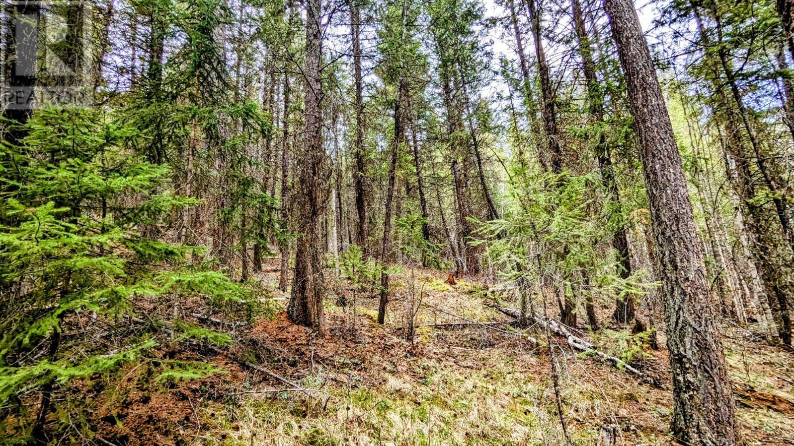 Lot 5 Canim Hendrix Lake Road, Canim Lake, British Columbia  V0K 1J0 - Photo 10 - R2932365