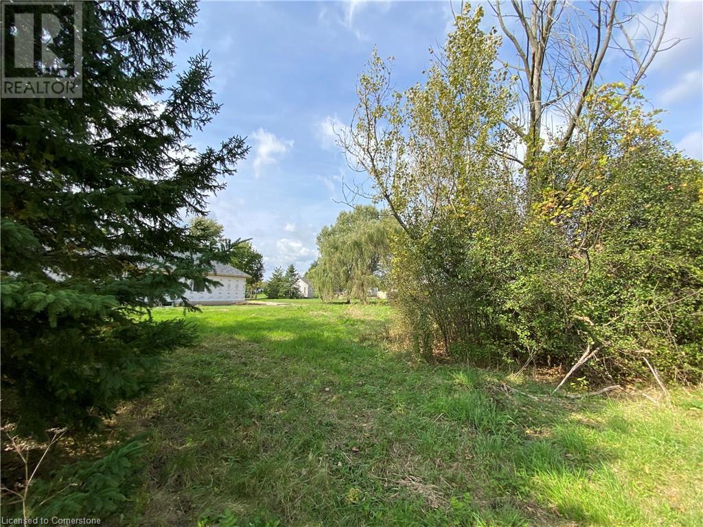 Lot 10-46 Echo Street, Cayuga, Ontario N0A 1E0 - Photo 4 - 40651900