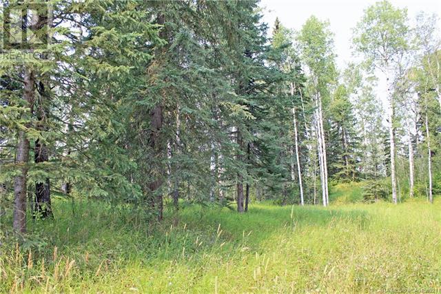 5 Ridgeland Road, Rural Clearwater County, Alberta  T4T 2A4 - Photo 3 - A2086761