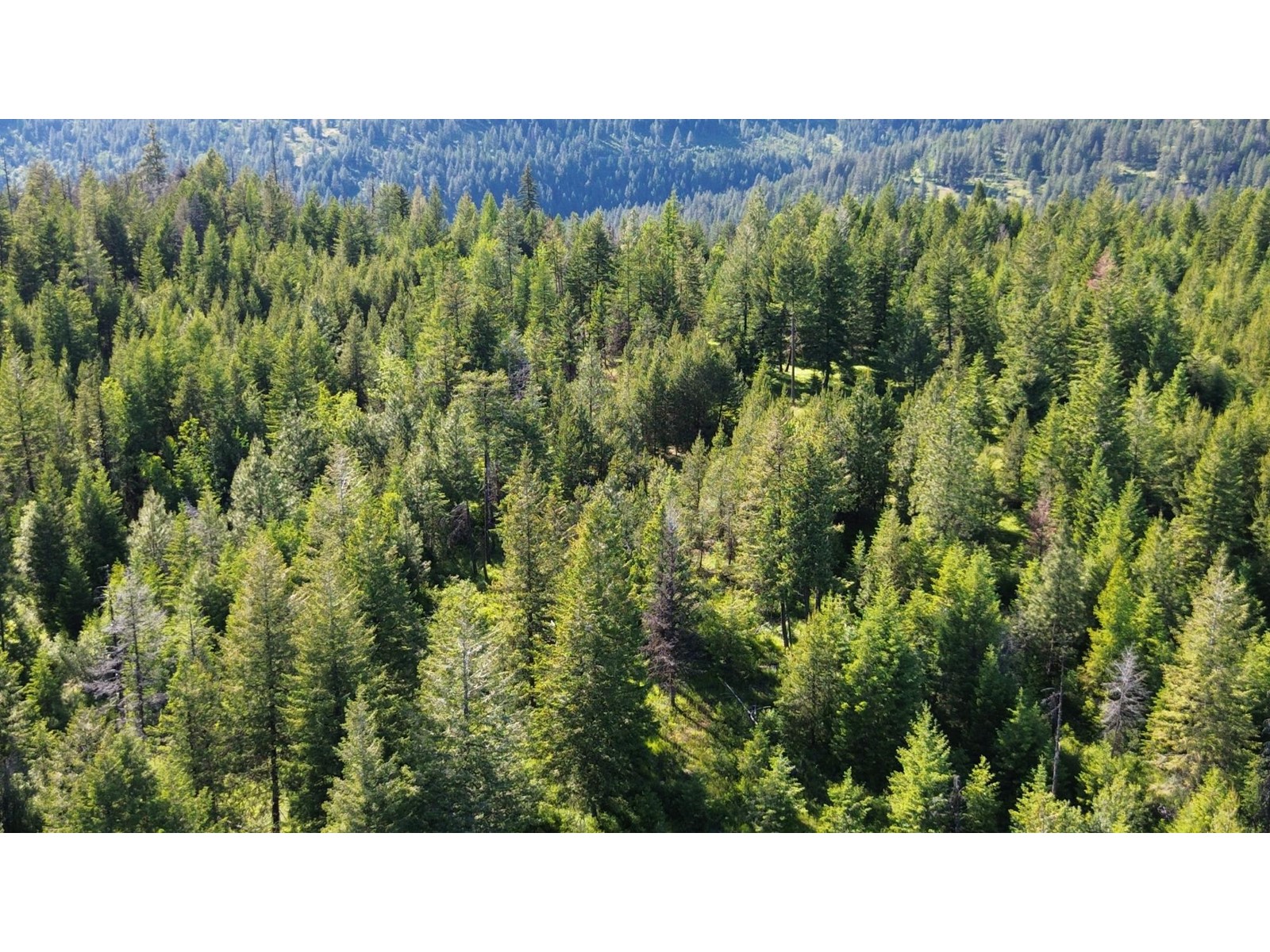 Lot 1826s Morrissey Creek  Road, Grand Forks, British Columbia  V0H 1H0 - Photo 28 - 2478039