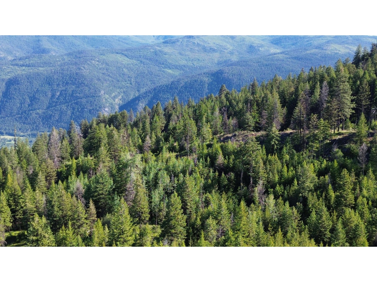 Lot 1826s Morrissey Creek  Road, Grand Forks, British Columbia  V0H 1H0 - Photo 29 - 2478039