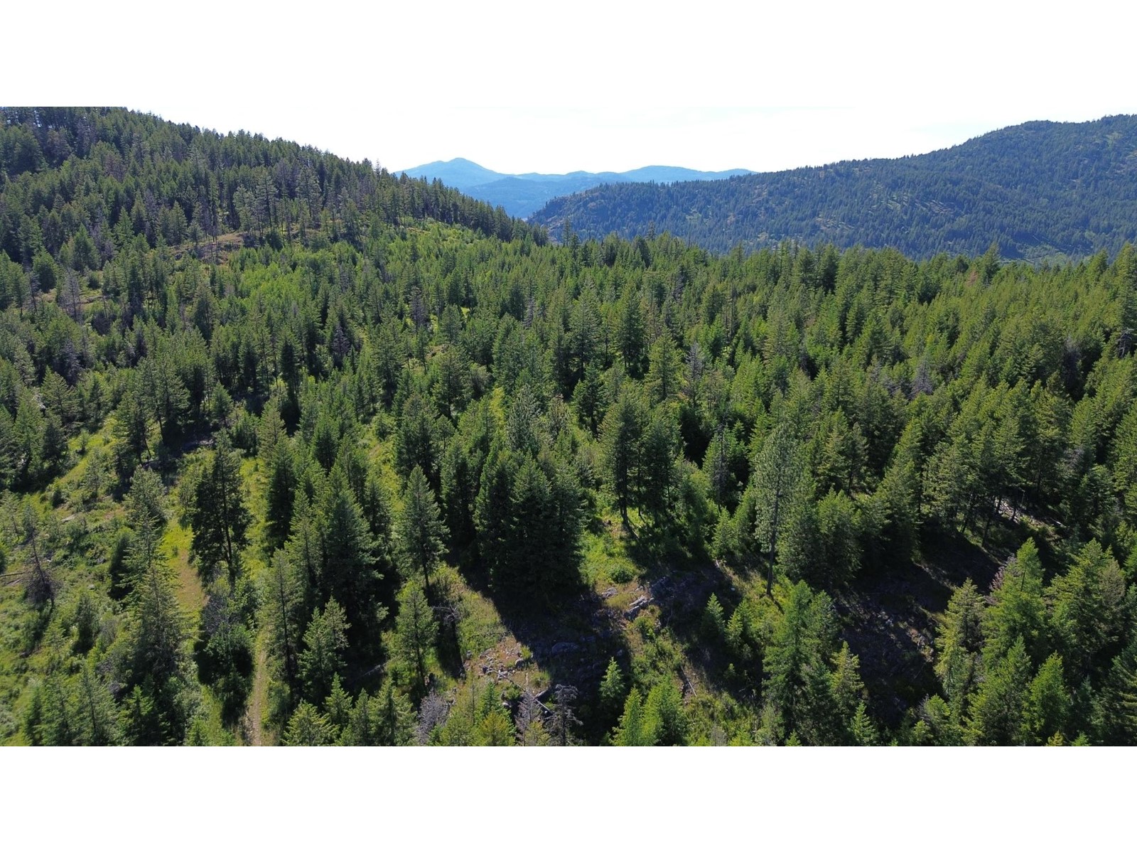 Lot 1826s Morrissey Creek  Road, Grand Forks, British Columbia  V0H 1H0 - Photo 17 - 2478039