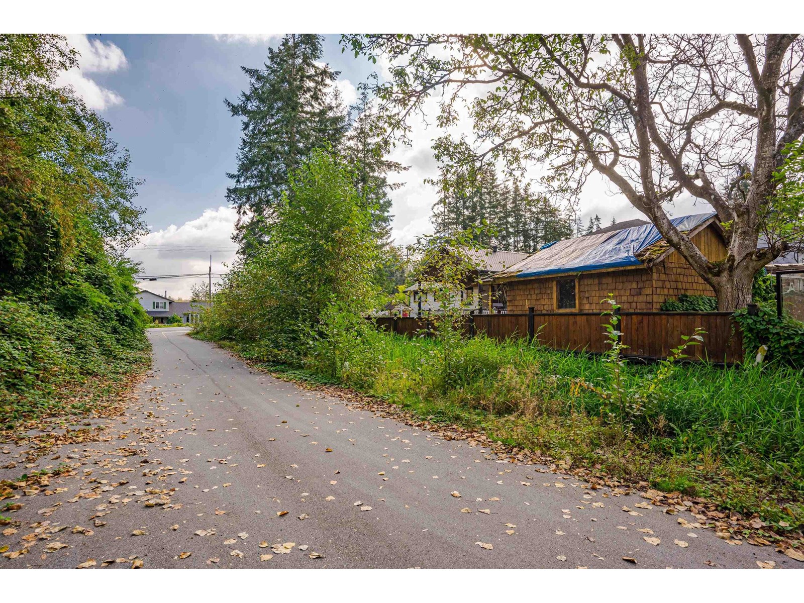 4075 240 Street, Langley, British Columbia  V2Z 2L4 - Photo 29 - R2931947