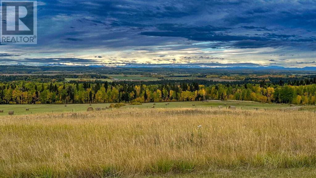 31479 Range Road 52, Rural Mountain View County, Alberta  T0M 1X0 - Photo 37 - A2170531