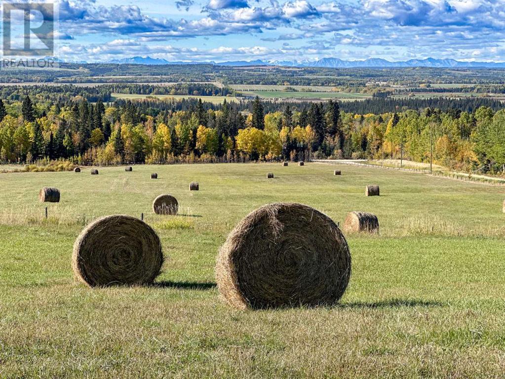 31479 Range Road 52, Rural Mountain View County, Alberta  T0M 1X0 - Photo 6 - A2170531