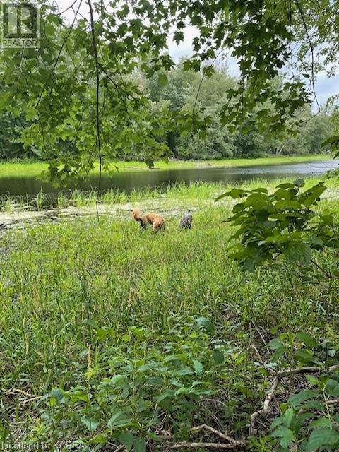 4902 Petworth Road, Harrowsmith, Ontario  K0H 1V0 - Photo 37 - 40656815