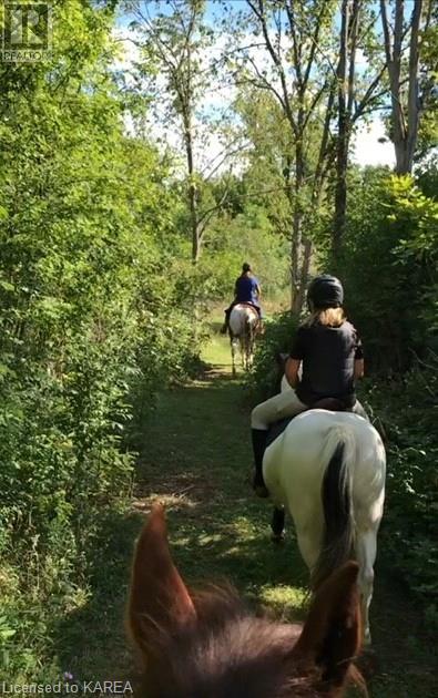 4902 Petworth Road, Harrowsmith, Ontario  K0H 1V0 - Photo 38 - 40656815