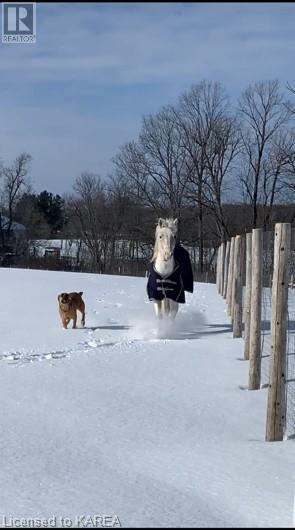 4902 Petworth Road, Harrowsmith, Ontario  K0H 1V0 - Photo 40 - 40656815