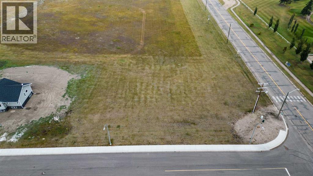 5403 54 Avenue, Sedgewick, Alberta  T0B 4C0 - Photo 1 - A2083882