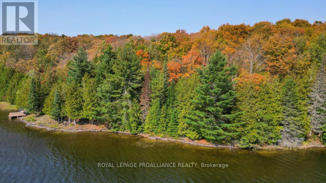 0 Swaugers Lake, North Frontenac, Ontario  K0H 2M0 - Photo 20 - X9382470