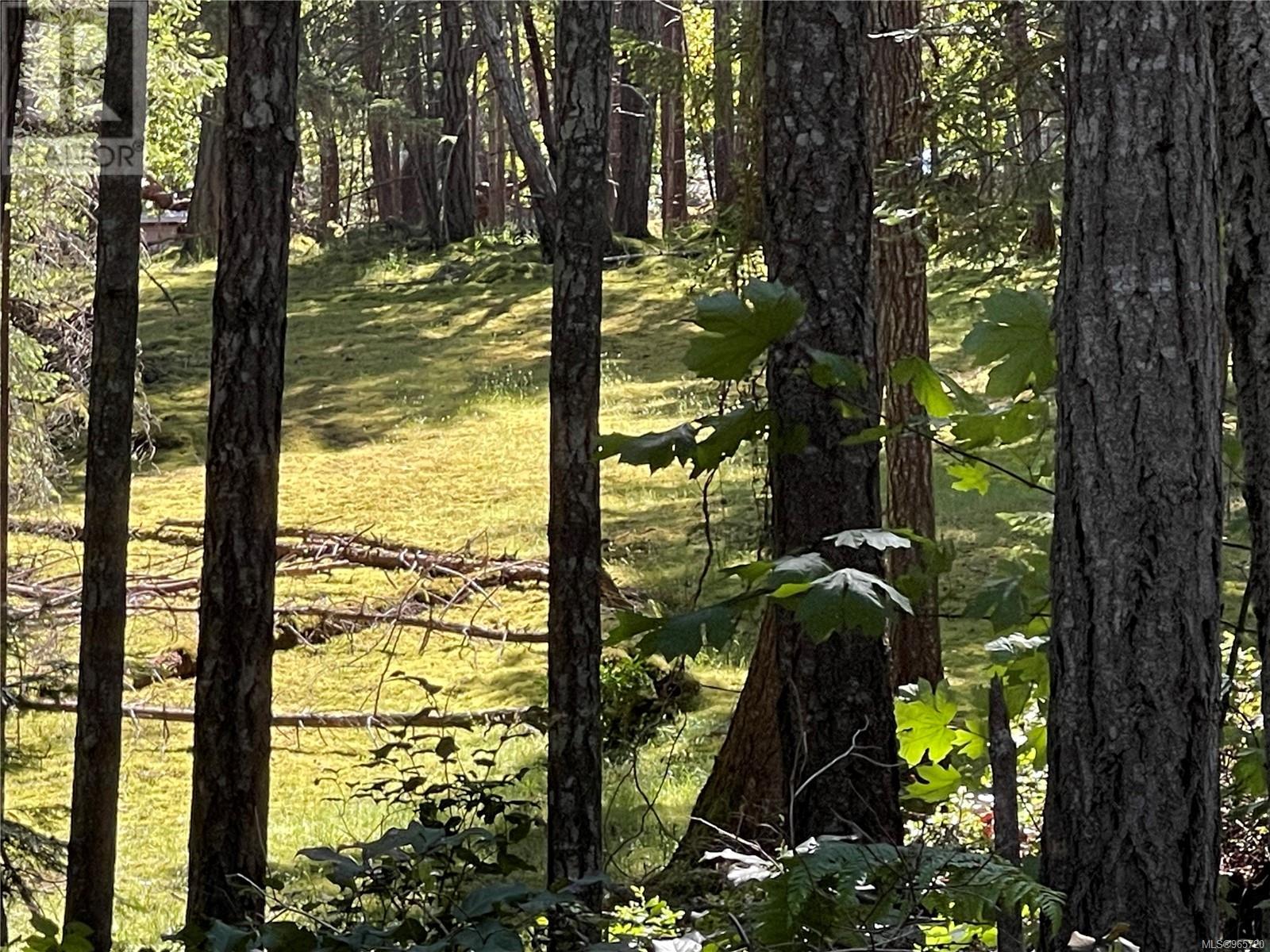 Lot 2 Driftwood Dr, Mudge Island, British Columbia