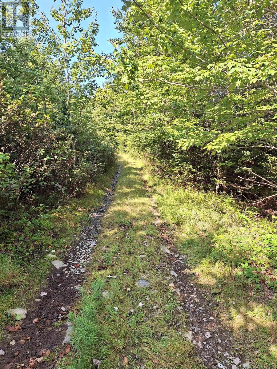 Lot Km1 Thompson Lake, Porters Lake, Nova Scotia  B3E 1J5 - Photo 7 - 202423962