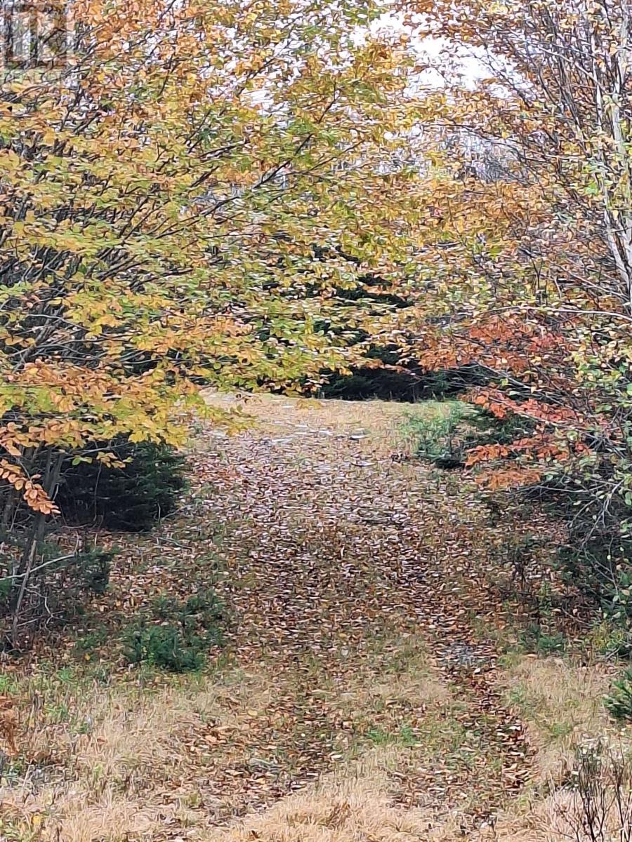 Lot Km1 Thompson Lake, Porters Lake, Nova Scotia  B3E 1J5 - Photo 8 - 202423962