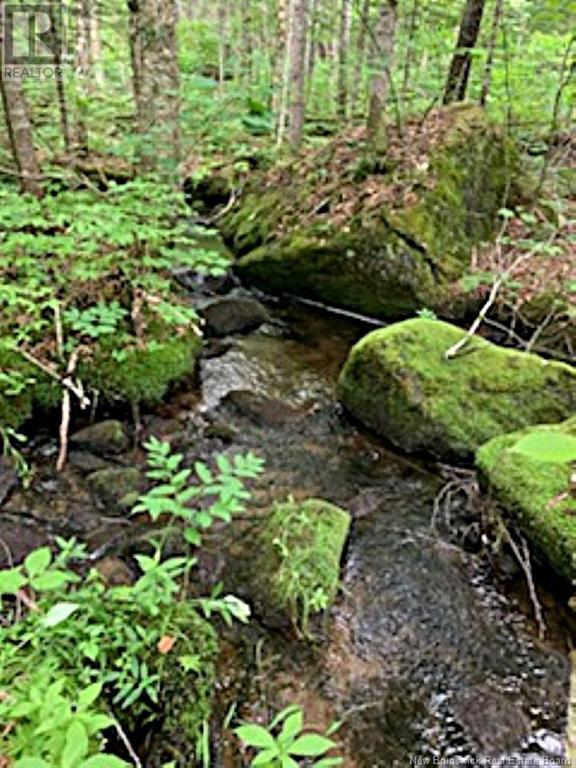 Lot 2 Highway Pokiok, Hawkshaw, New Brunswick  E6G 1N7 - Photo 7 - NB107220