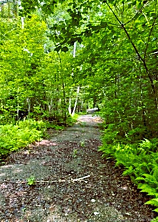 Lot 2 Highway Pokiok, Hawkshaw, New Brunswick  E6G 1N7 - Photo 2 - NB107220