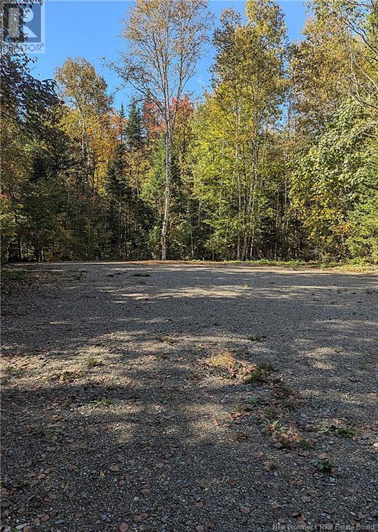 Lot 2 Highway Pokiok, Hawkshaw, New Brunswick  E6G 1N7 - Photo 3 - NB107220