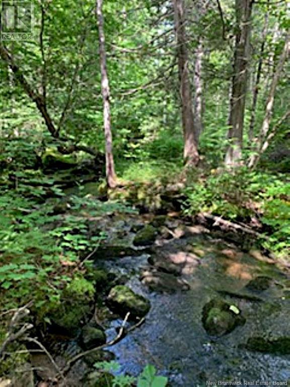 Lot 2 Highway Pokiok, Hawkshaw, New Brunswick  E6G 1N7 - Photo 6 - NB107220