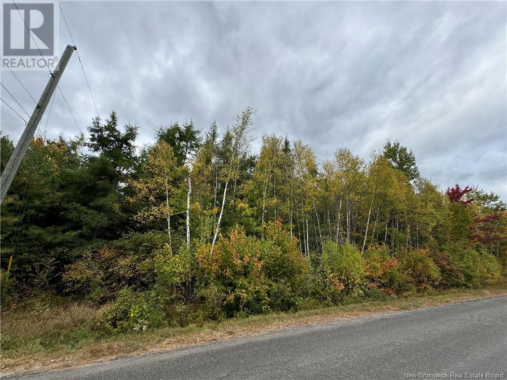 Blueberry Lane, Codys, New Brunswick  E4C 1E3 - Photo 4 - NB107368