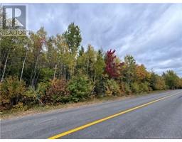 Blueberry Lane, Codys, New Brunswick