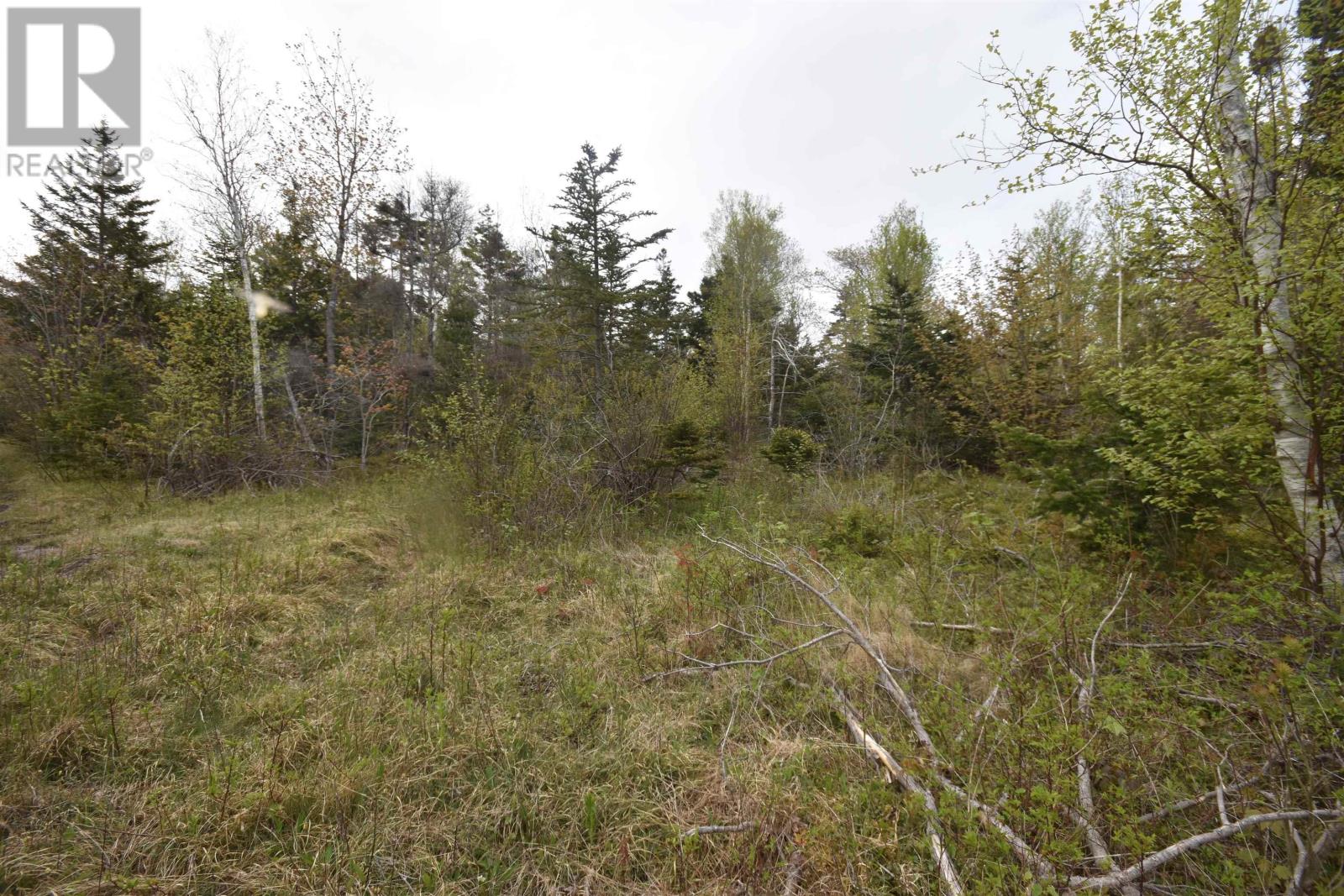 Lot Shore Road W, Youngs Cove, Nova Scotia  B0S 1L0 - Photo 20 - 202411829
