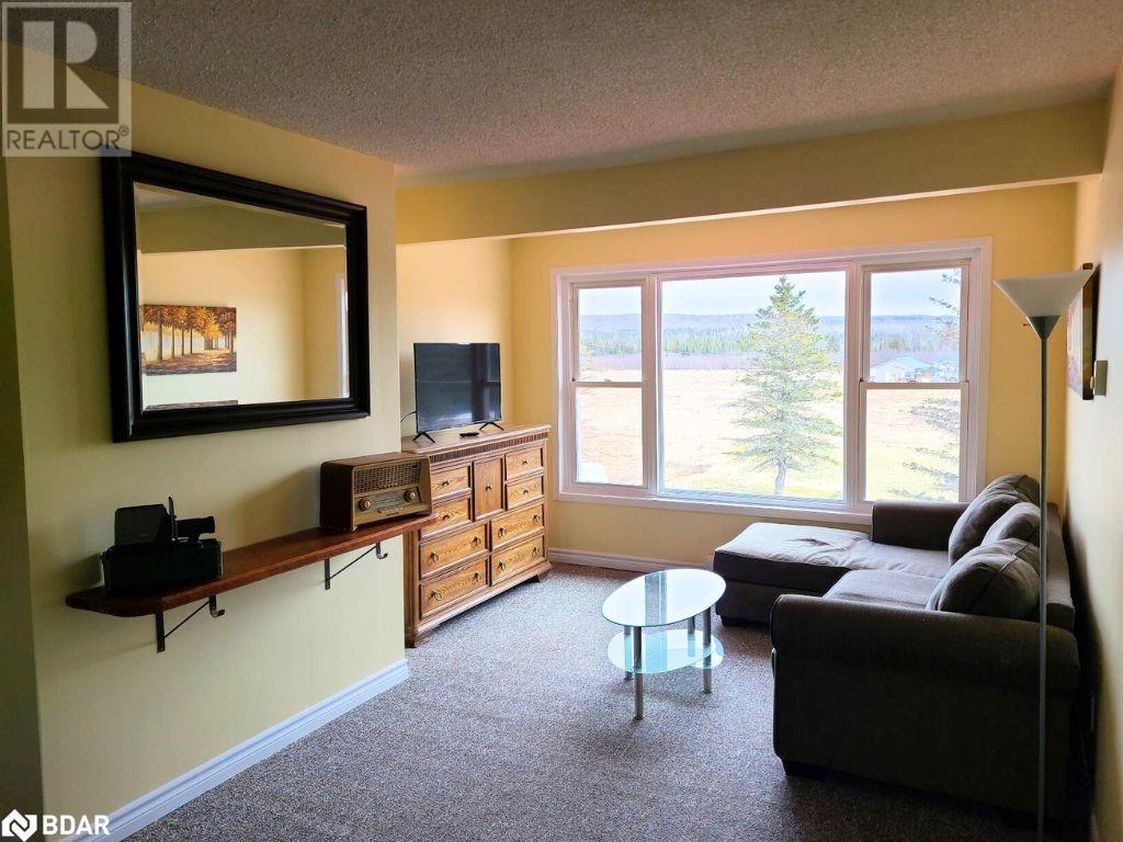 253 Craig Sideroad, Hillsdale, Ontario  L0L 1V0 - Photo 8 - 40658104