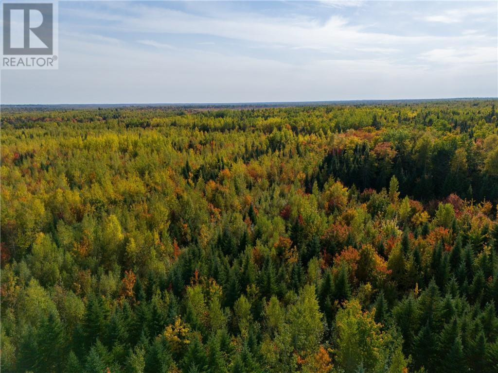 Lot St Augustin Road, Village-Saint-Augustin, New Brunswick  E4T 2E4 - Photo 16 - M161742