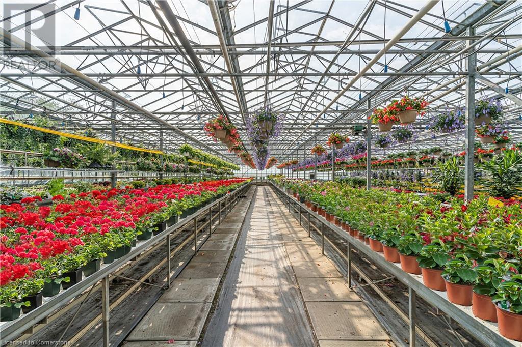 174 Mud Street W, Grassie, Ontario  L0R 1M0 - Photo 13 - 40658622