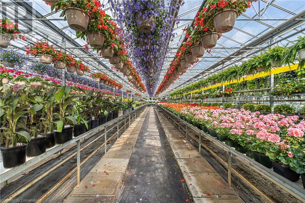 174 Mud Street W, Grassie, Ontario  L0R 1M0 - Photo 14 - 40658622