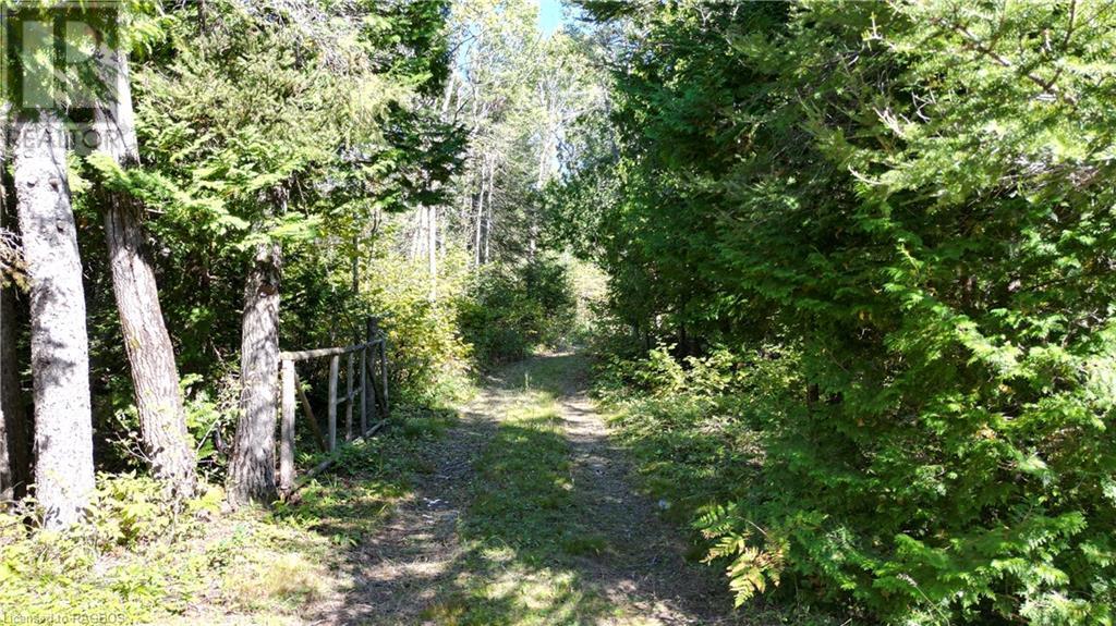 459 Warner Bay Road, Tobermory, Ontario  N0H 2R0 - Photo 1 - 40658359