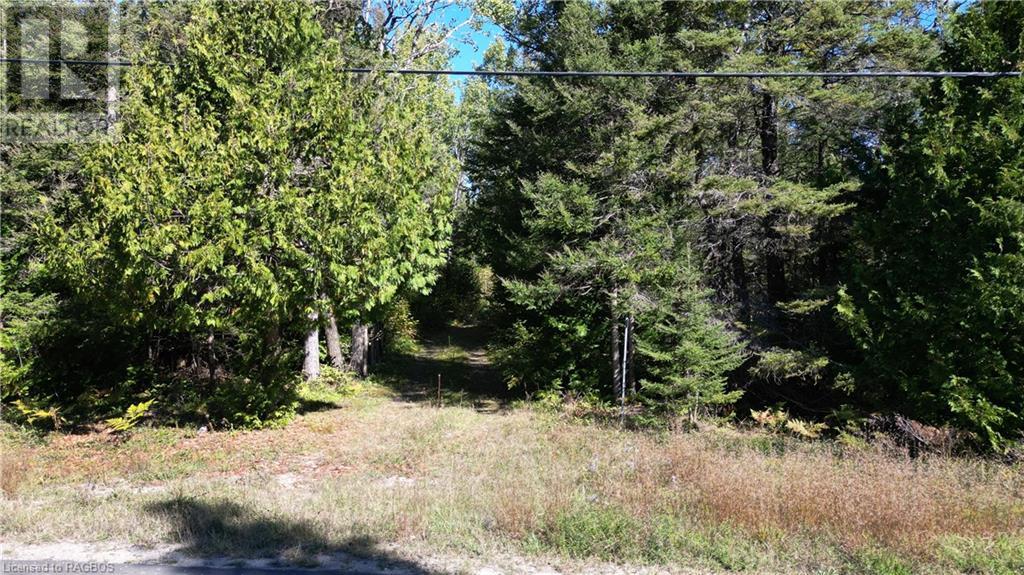 459 Warner Bay Road, Tobermory, Ontario  N0H 2R0 - Photo 3 - 40658359