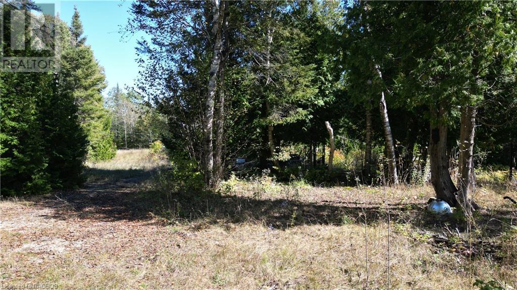 459 Warner Bay Road, Tobermory, Ontario  N0H 2R0 - Photo 6 - 40658359