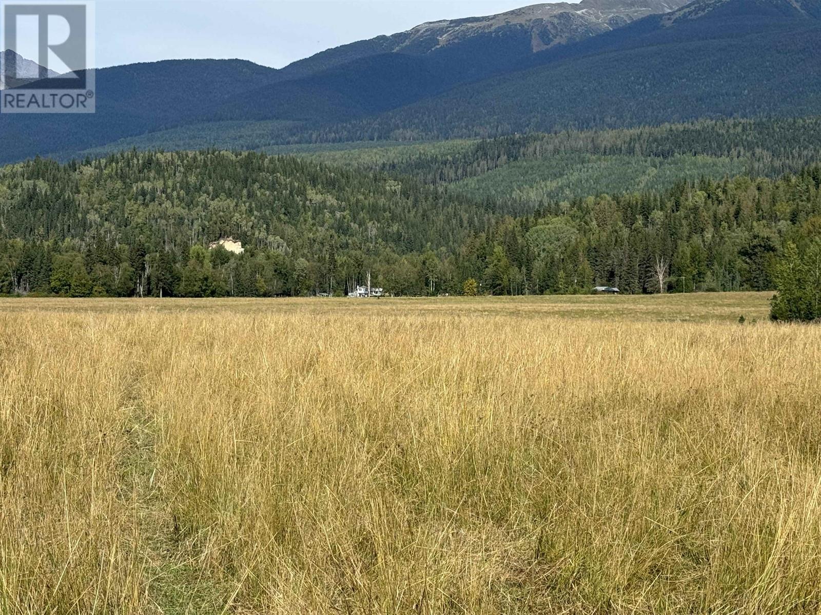 8165 Mountain View Road, Mcbride, British Columbia  V0J 2E0 - Photo 1 - C8063424