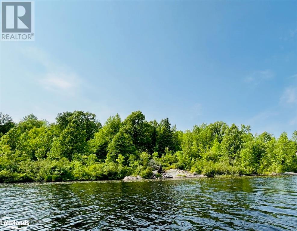 0-2 Jacks Lake, Golden Valley, Ontario  P0H 1N0 - Photo 1 - 40658676