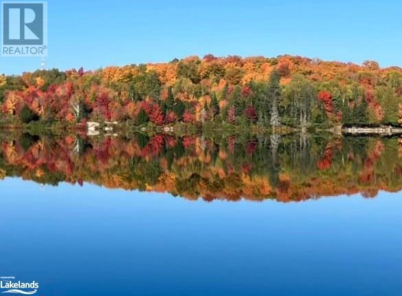 0-2 Jacks Lake, Golden Valley, Ontario  P0H 1N0 - Photo 2 - 40658676