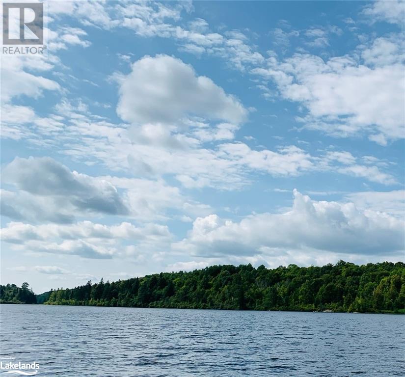 0-2 Jacks Lake, Golden Valley, Ontario  P0H 1N0 - Photo 3 - 40658676