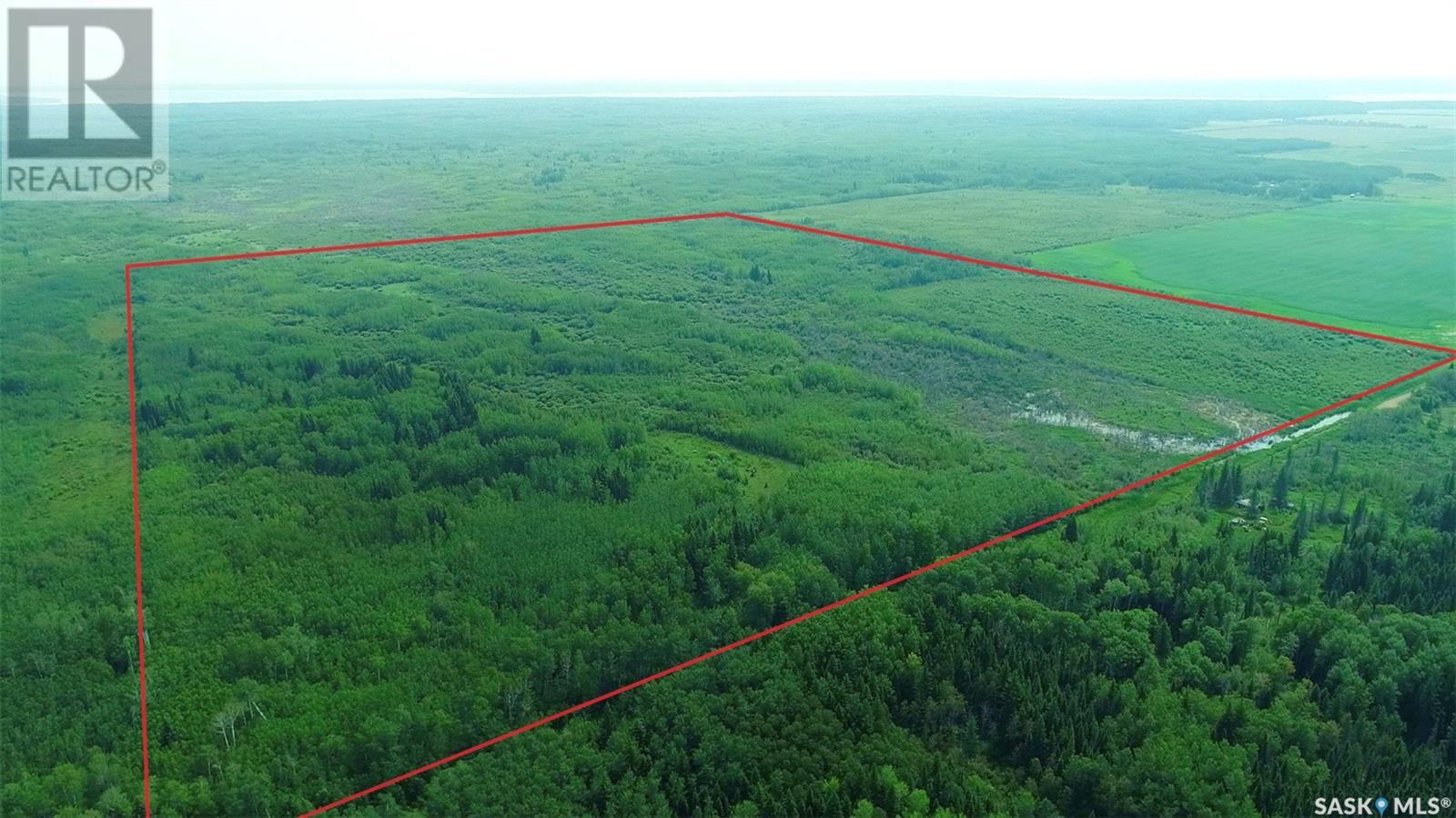 Recreational Land N-E Of White Fox, Torch River Rm No. 488, Saskatchewan  S0J 3B0 - Photo 1 - SK977729