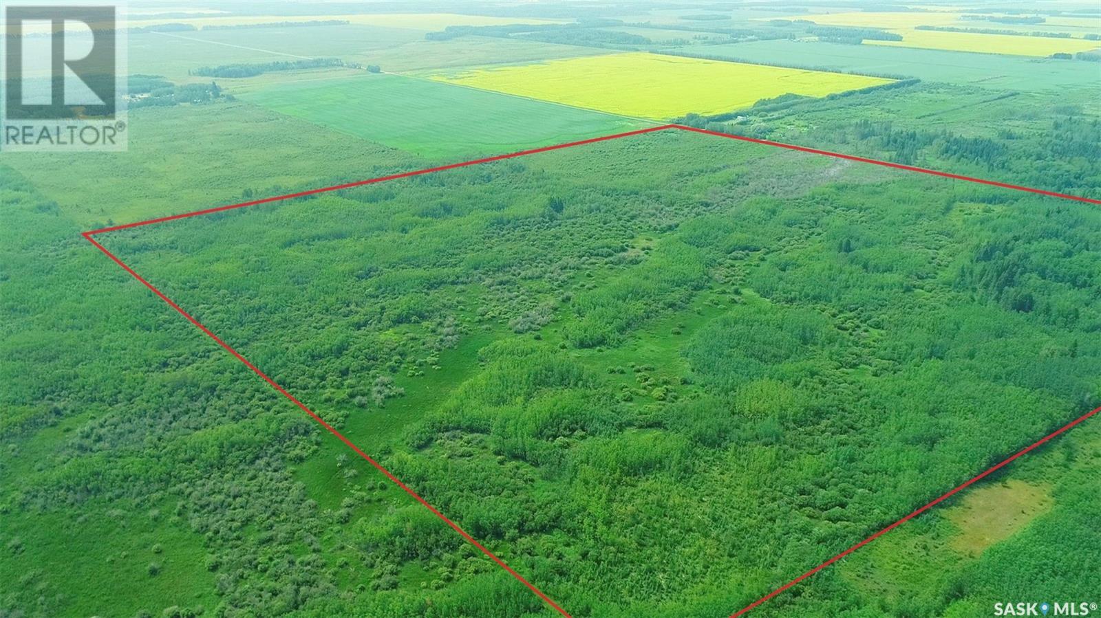 Recreational Land N-E Of White Fox, Torch River Rm No. 488, Saskatchewan  S0J 3B0 - Photo 24 - SK977729
