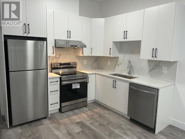 10530 Mcveety Street, Maple Ridge, British Columbia  V2W 1G5 - Photo 29 - R2922720