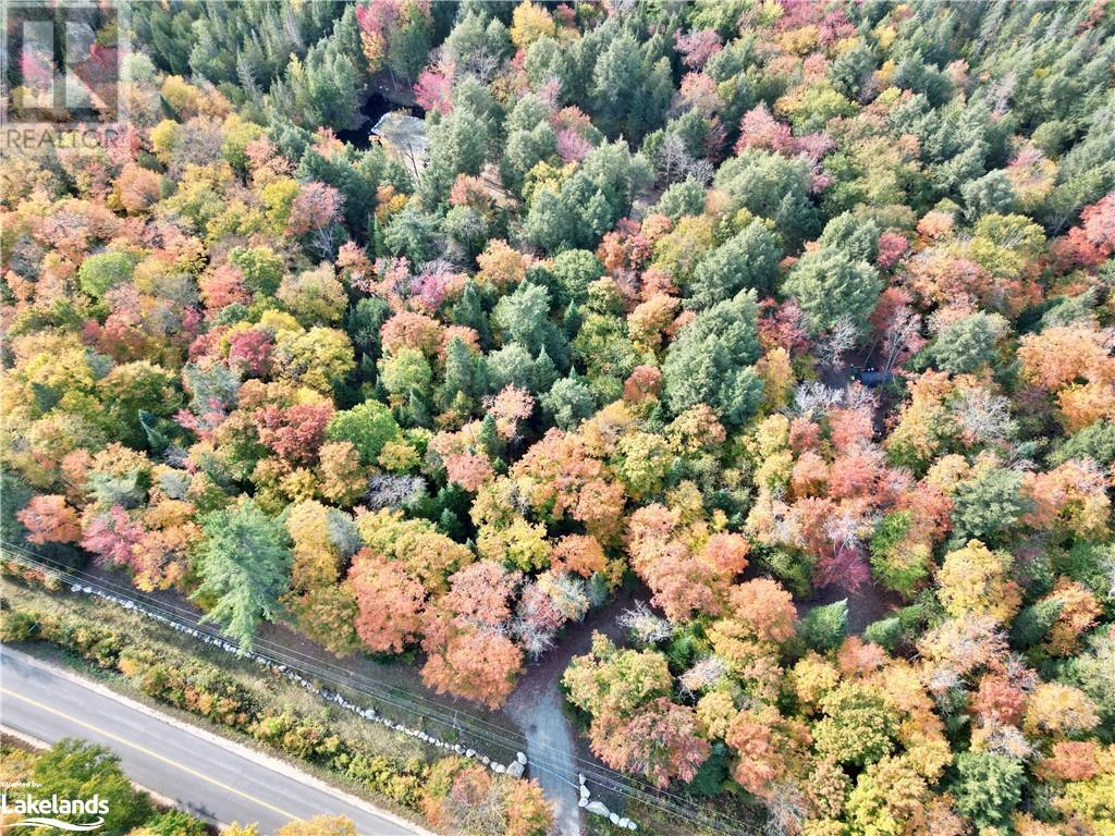 N/a Limberlost Road, Lake Of Bays (Twp), Ontario  P1H 2J6 - Photo 12 - 40656589