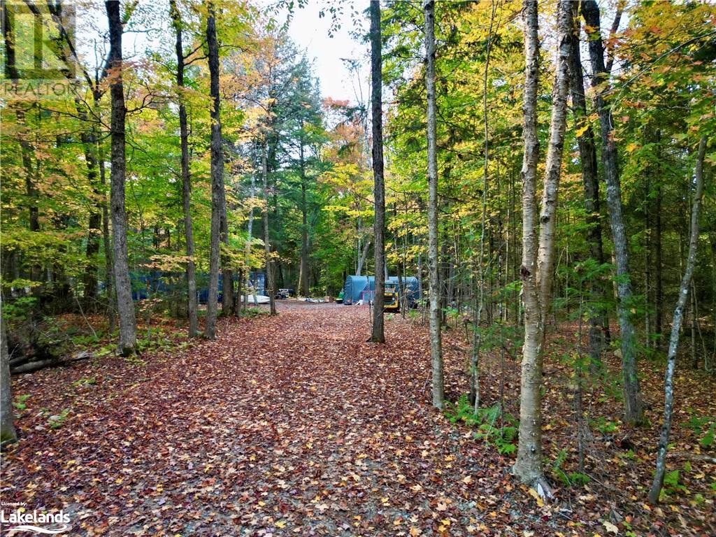 0 Limberlost Road, Lake Of Bays (Twp), Ontario  P1H 2J6 - Photo 21 - 40656589