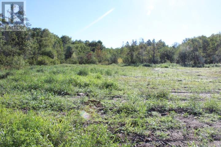 Lot 52 Woodward Ave, Blind River, Ontario  P0R 1B0 - Photo 13 - SM240518