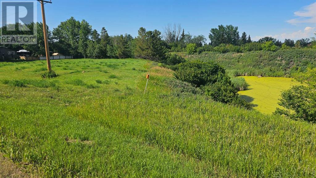 4325 48 Avenue, Castor, Alberta  T0C 0X0 - Photo 2 - A2151647