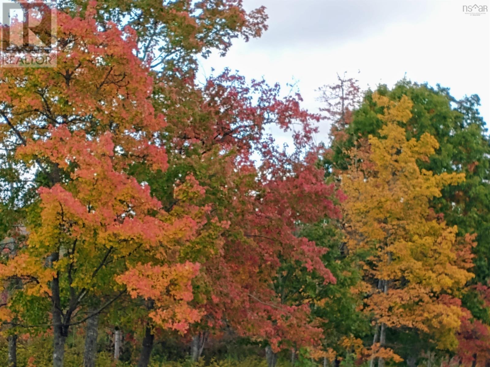 Lot(S) Havre Boucher (Simons) Road, Frankville, Nova Scotia  B0H 1K0 - Photo 12 - 202424146