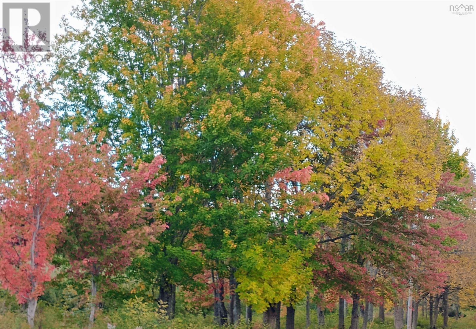 Lot(S) Havre Boucher (Simons) Road, Frankville, Nova Scotia  B0H 1K0 - Photo 13 - 202424146