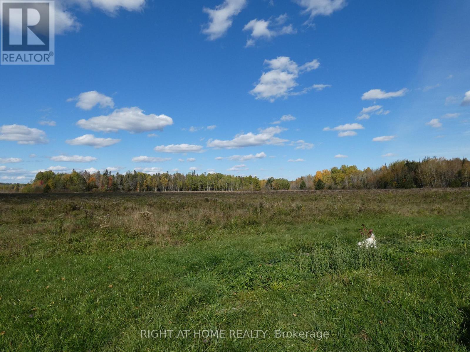 Pt 1 Mcdonald Road, West Nipissing, Ontario  P0H 2N0 - Photo 14 - X9386043