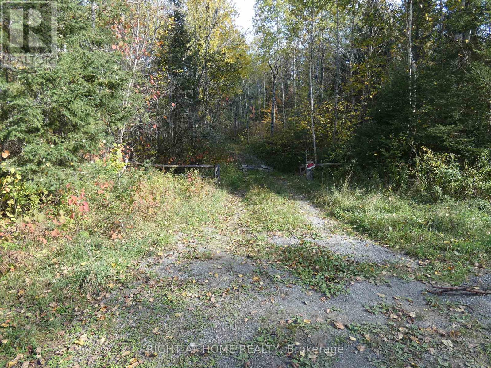 Pt 1 Mcdonald Road, West Nipissing, Ontario  P0H 2N0 - Photo 9 - X9386043