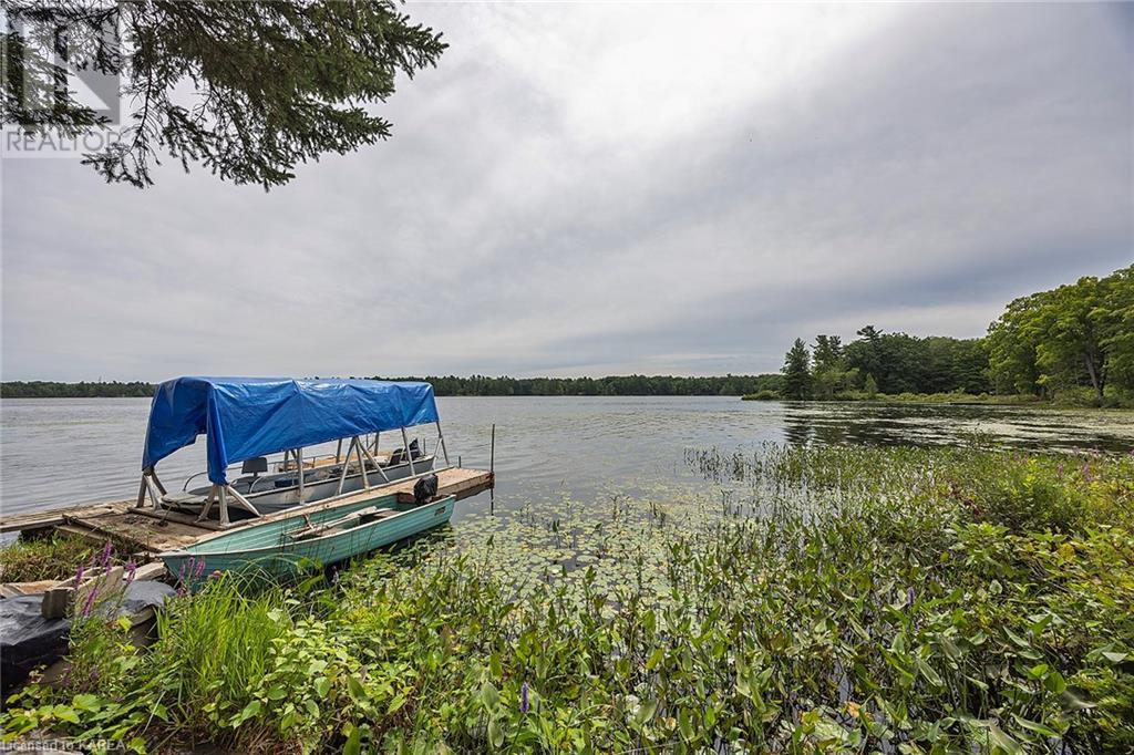 1127 Dalton Lane, Godfrey, Ontario  K0H 1T0 - Photo 17 - 40659585