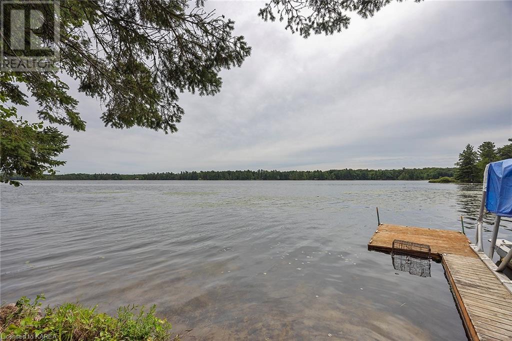 1127 Dalton Lane, Godfrey, Ontario  K0H 1T0 - Photo 20 - 40659585